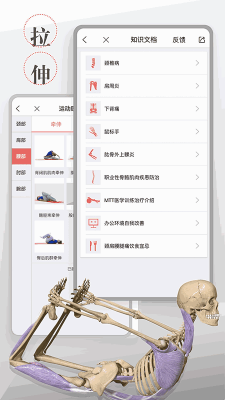 第三人体